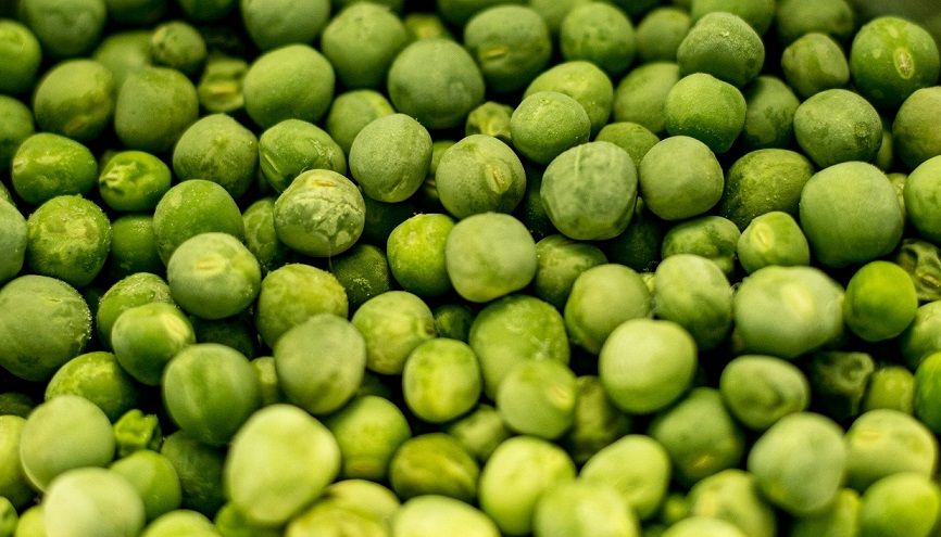 Fresh Pulses