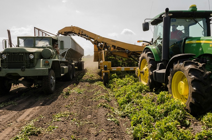 Agricultural trading operations